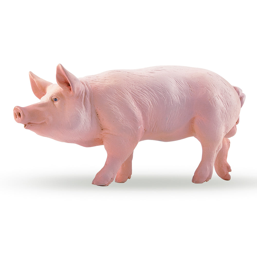 Papo Boar