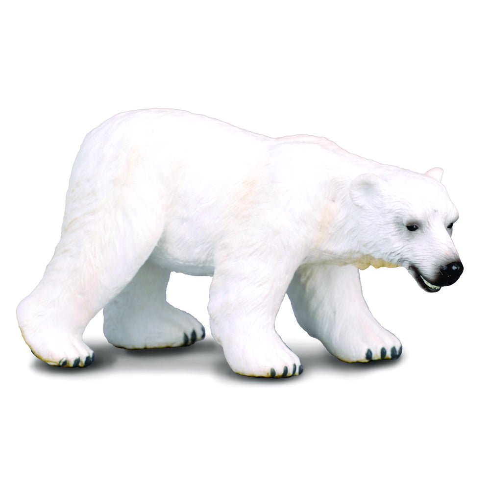 CollectA Polar Bear