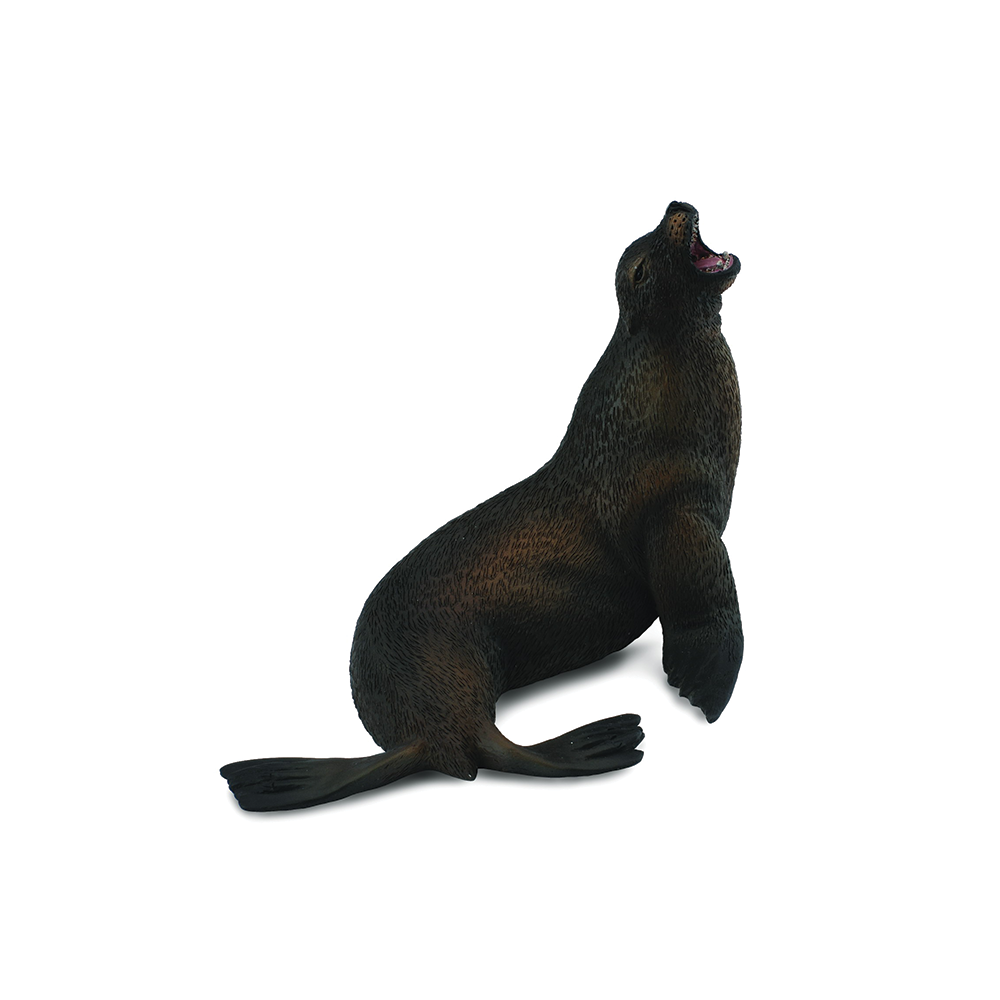 CollectA Sea Lion