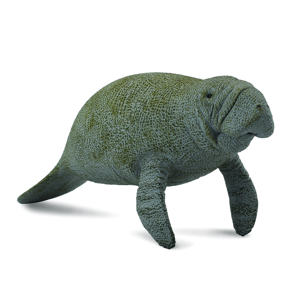 CollectA Manatee