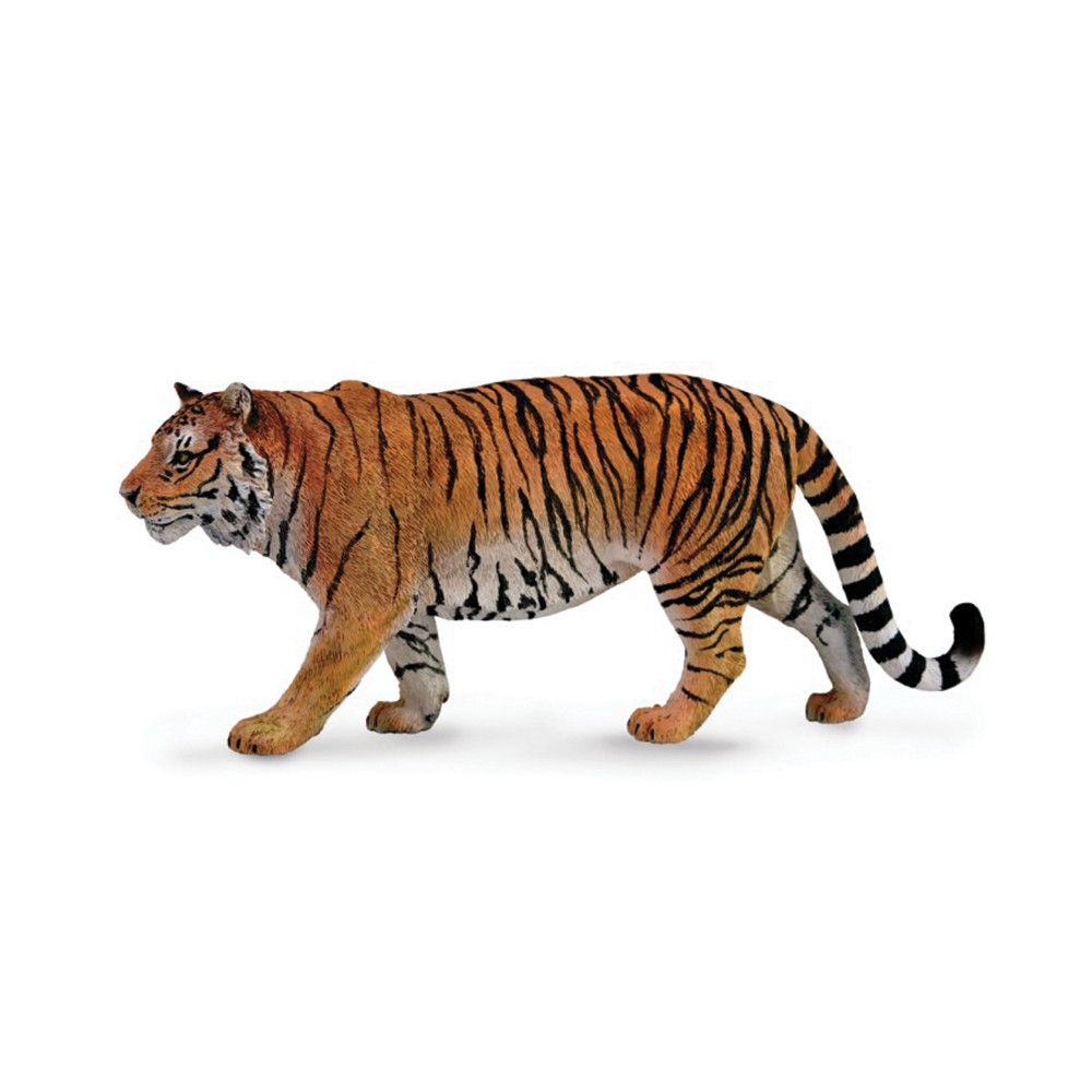 CollectA Siberian Tiger