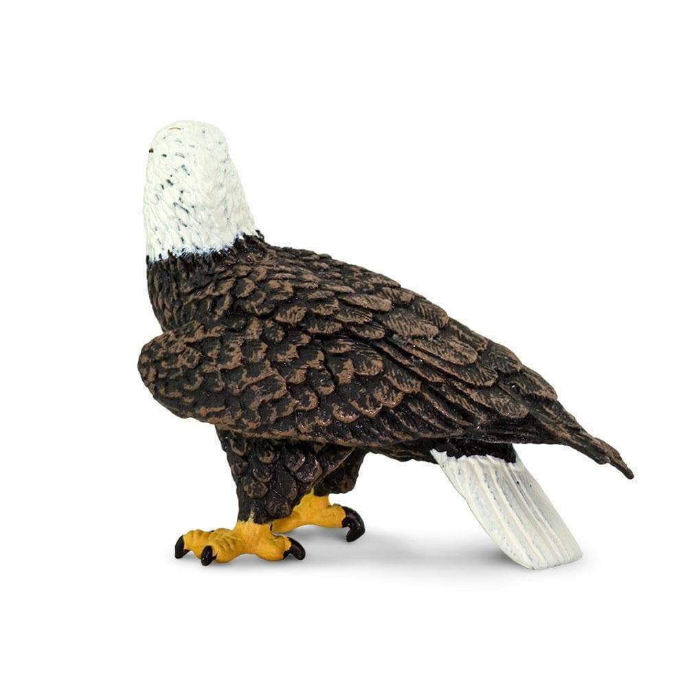 Safari Ltd Bald Eagle