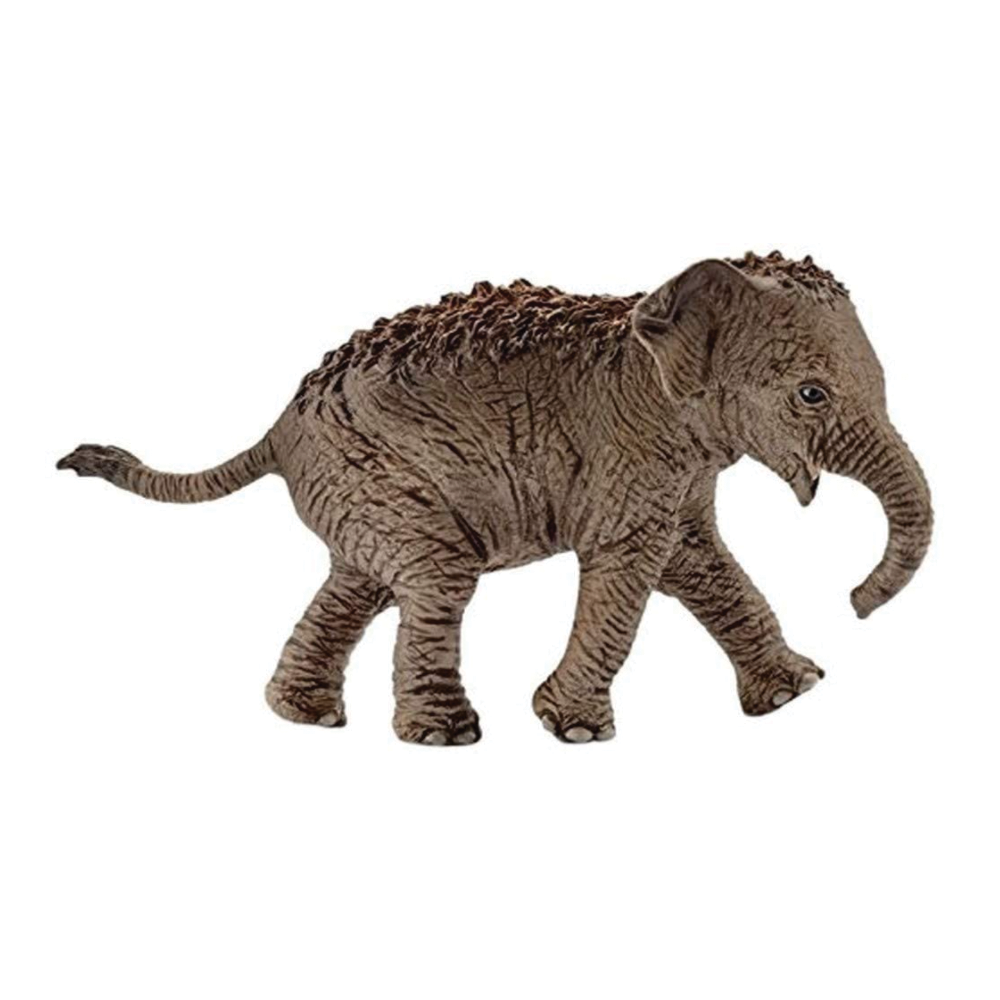Schleich Asian Elephant Calf