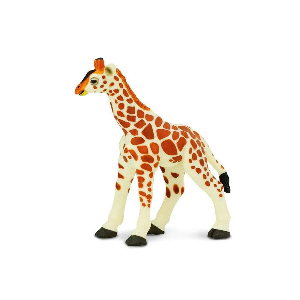 Safari Ltd Giraffe Baby