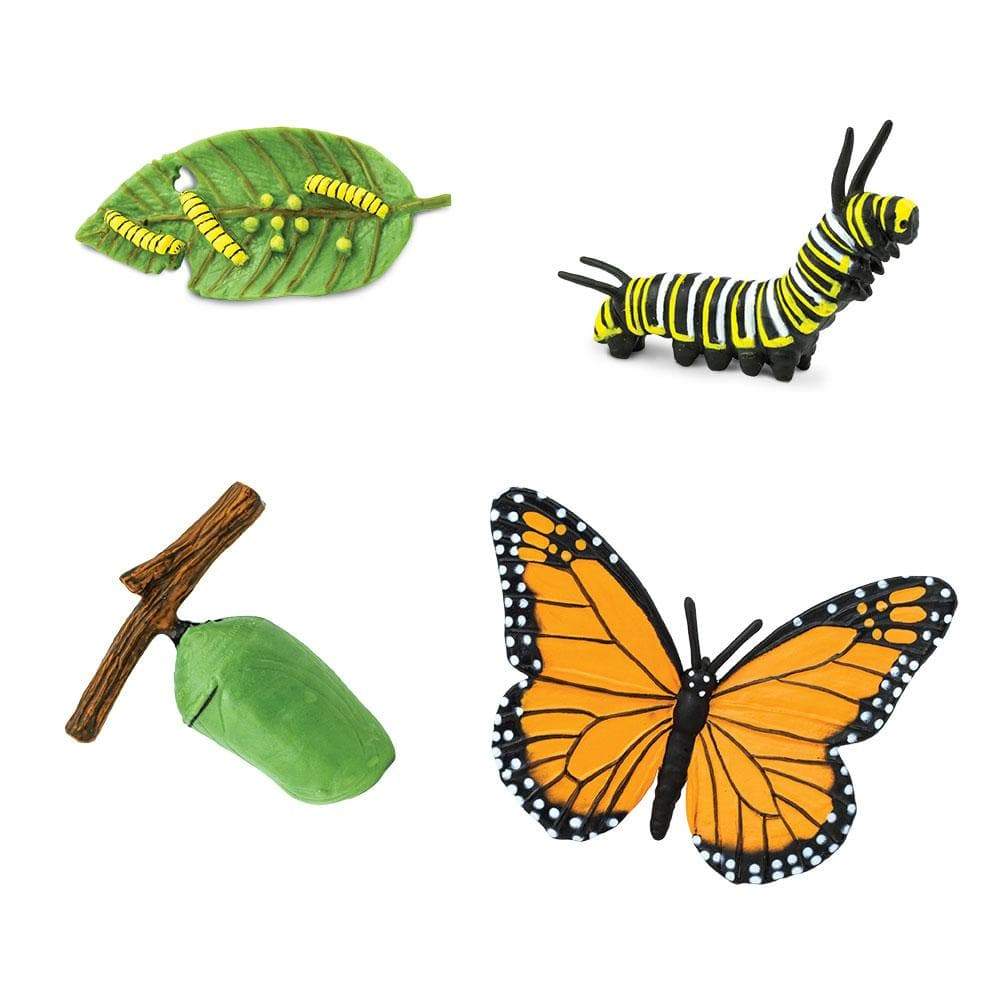 Safari Ltd Life Cycle of a Monarch Butterfly