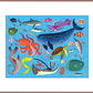 Educational Bundle - Deep Blue Sea