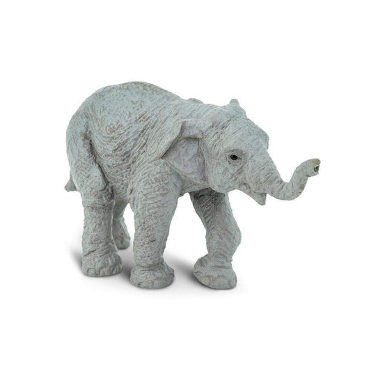 Safari Ltd Asian Elephant Baby