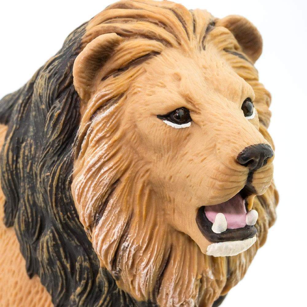 Safari Ltd Lion